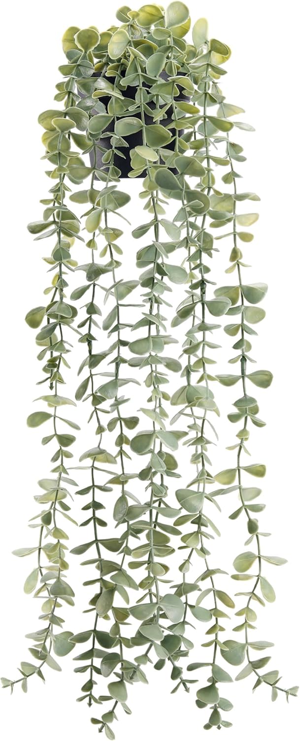 Dreamy Boho Faux Eucalyptus Decor
